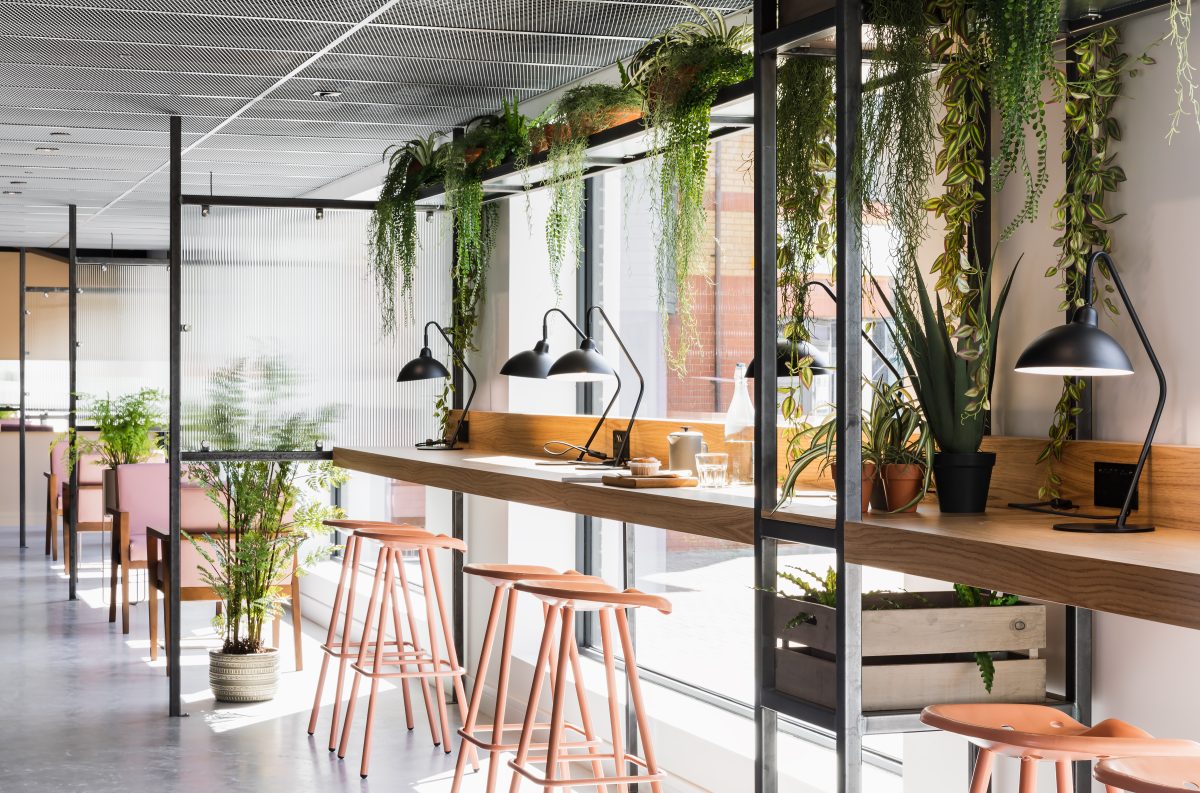 WN INTERIORS WINGFIELD HOUSE LOUNGE 5